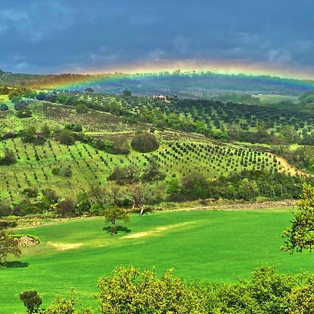 Le Tartarughe B&B Magliano in Toscana Extérieur photo