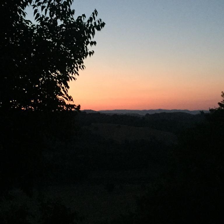 Le Tartarughe B&B Magliano in Toscana Extérieur photo
