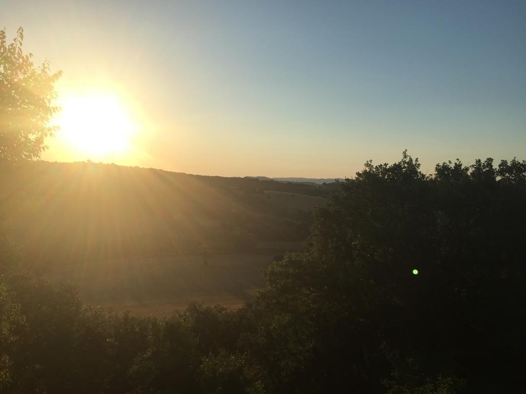 Le Tartarughe B&B Magliano in Toscana Extérieur photo