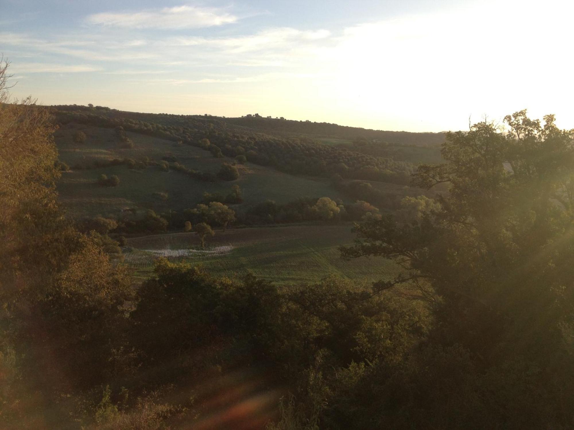 Le Tartarughe B&B Magliano in Toscana Extérieur photo