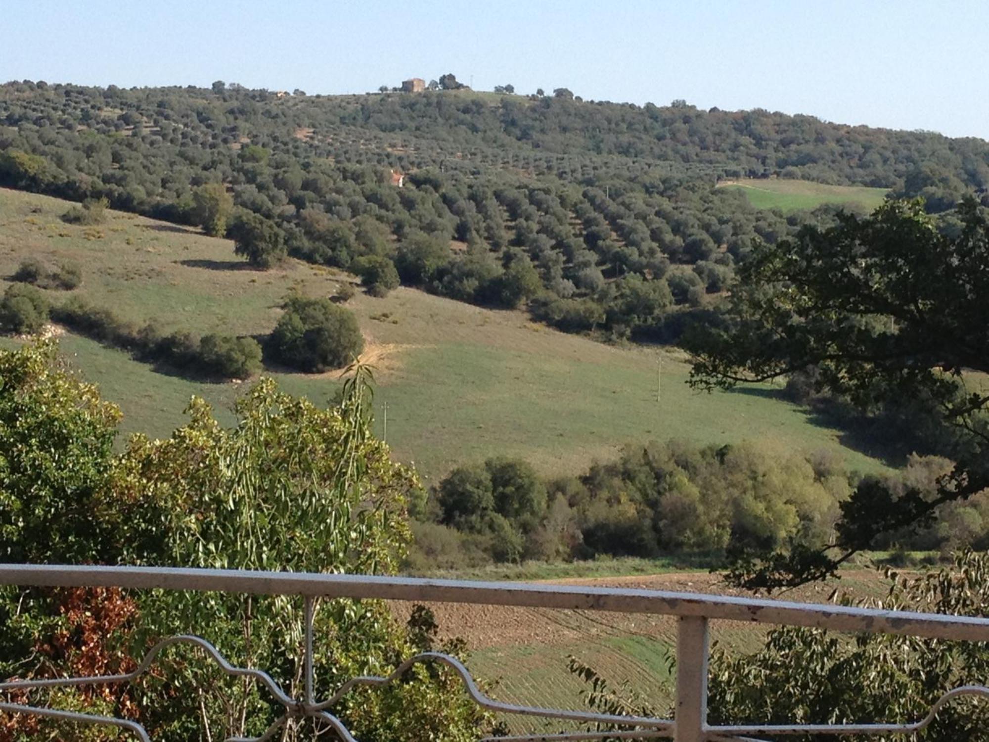 Le Tartarughe B&B Magliano in Toscana Extérieur photo