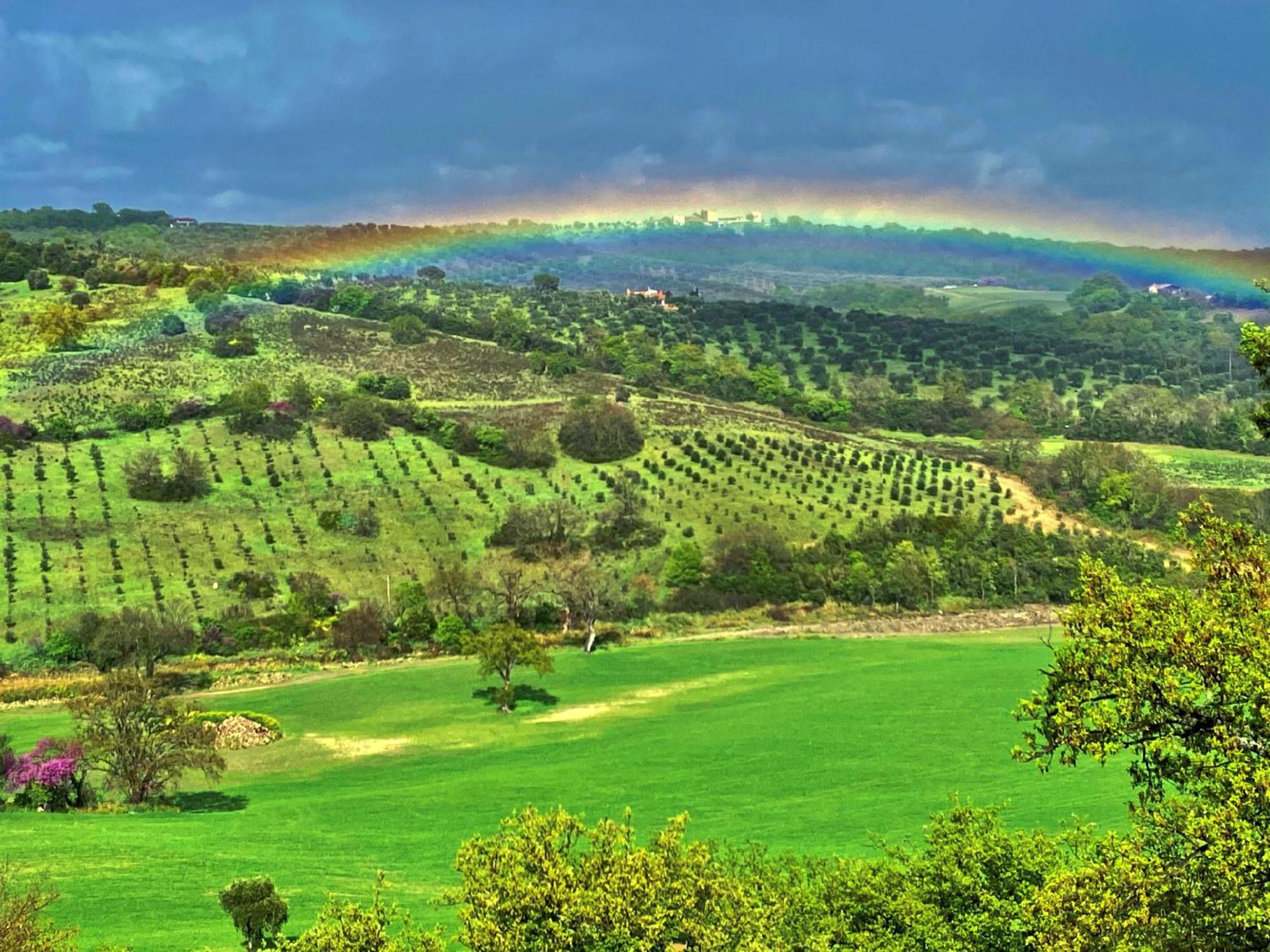 Le Tartarughe B&B Magliano in Toscana Extérieur photo