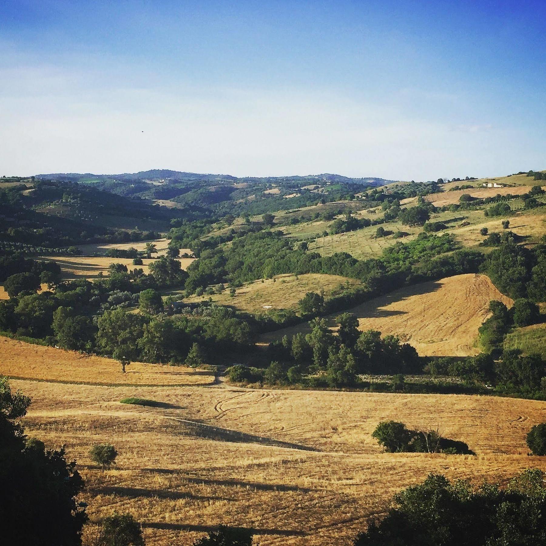 Le Tartarughe B&B Magliano in Toscana Extérieur photo