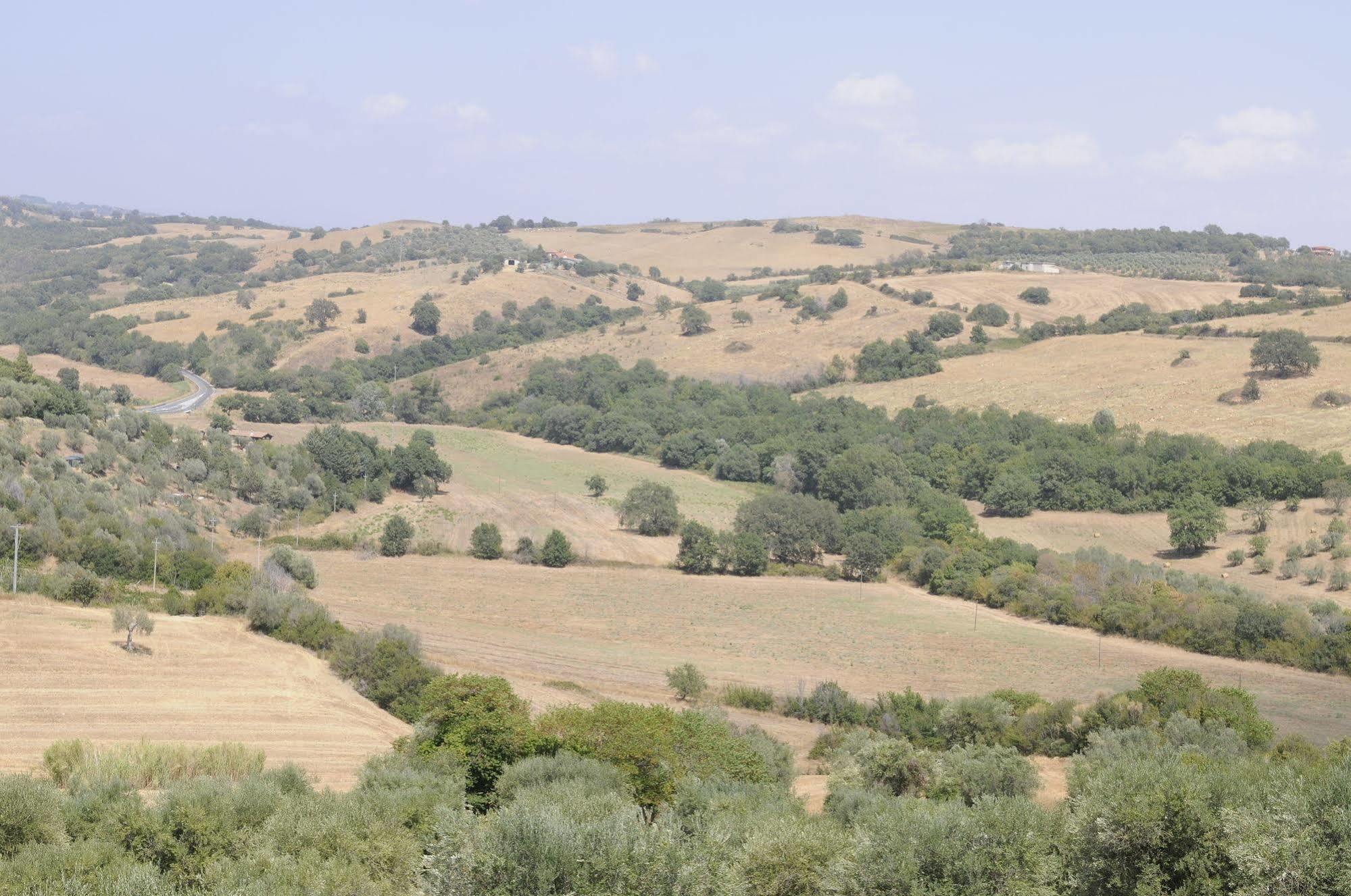 Le Tartarughe B&B Magliano in Toscana Extérieur photo