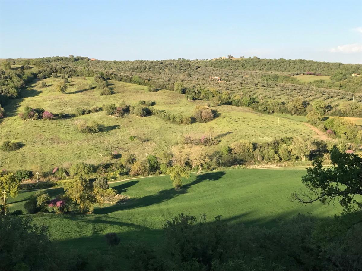 Le Tartarughe B&B Magliano in Toscana Extérieur photo