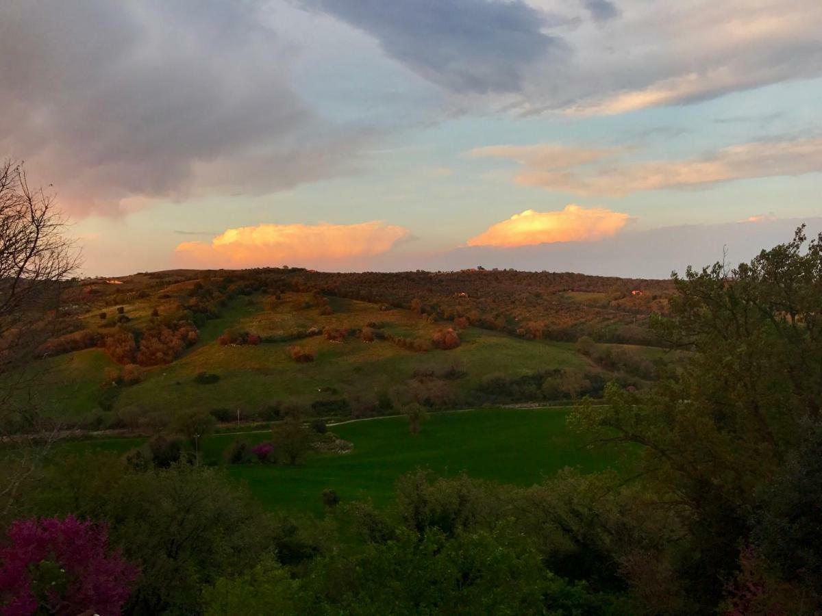 Le Tartarughe B&B Magliano in Toscana Extérieur photo